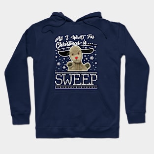 Sooty Christmas All I Want For Christmas Is Sweep Hoodie